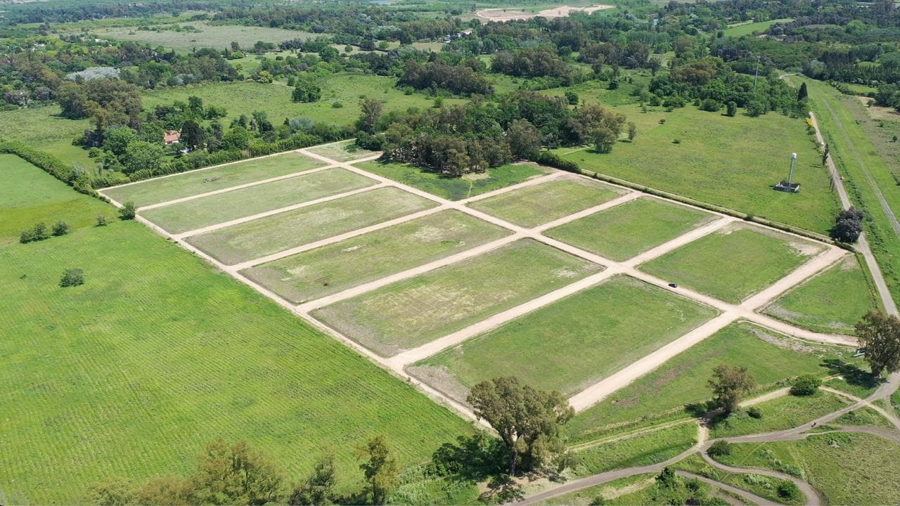 La Rosita — foto 5